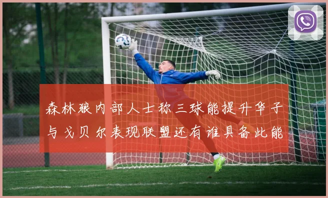 森林狼内部人士称三球能提升华子与戈贝尔表现联盟还有谁具备此能力